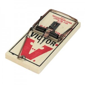rat trap game