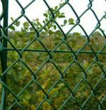 Chain Link Fencing