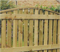 Wooden Fencing