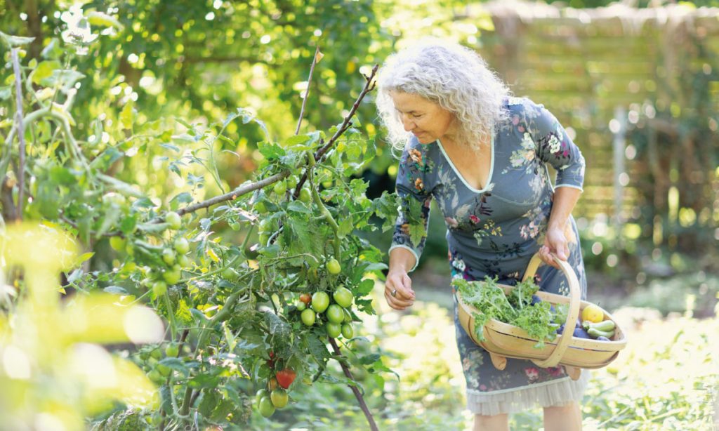 Rewarding Garden Upgrades to Kick off Your Retirement