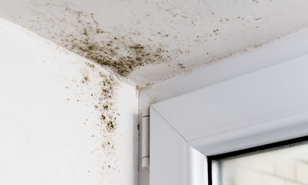 Preventing Mould Around Your Windows UK Home Improvement