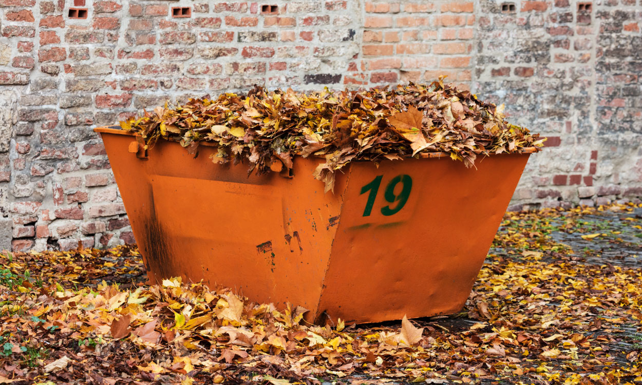 Why Autumn Skip Hire Is the Secret to a Cleaner, Calmer Home